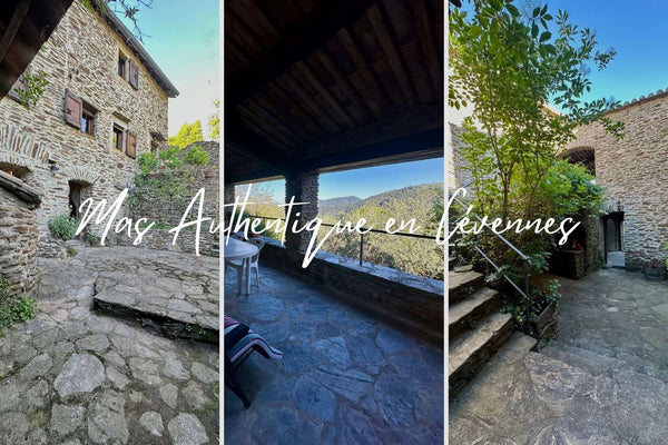 Mas en Cévennes à vendre : on se sépare de notre Mas d'amour...