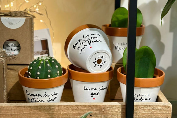 Guide 2025 : les pots à fleurs idéaux pour sublimer vos plantes