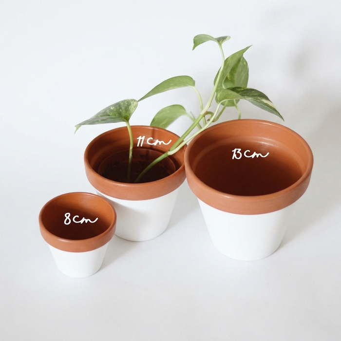 Joli pot blanc (seul)