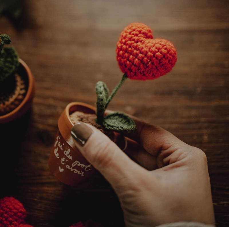 Mini pot en terre cuite crochet cœur crochet plante crochet rose pot de fleur
Idée cadeau original douce poétique pot de fleur personnalisé à personnaliser
