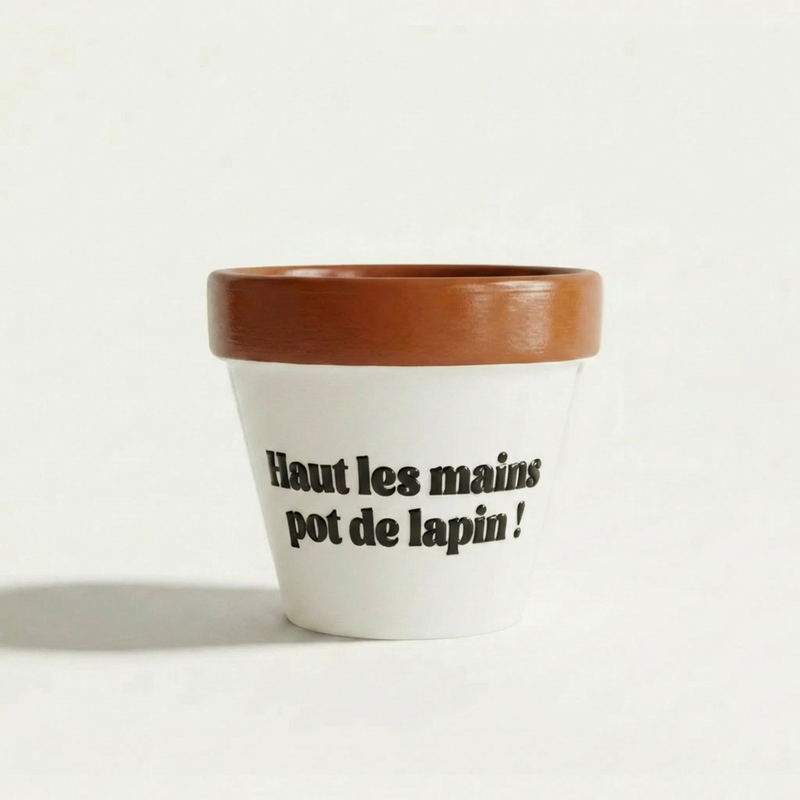 Pot de fleur cadeau maîtresse « Haut les mains, pot de lapin ! », Muisti X Joli Pot