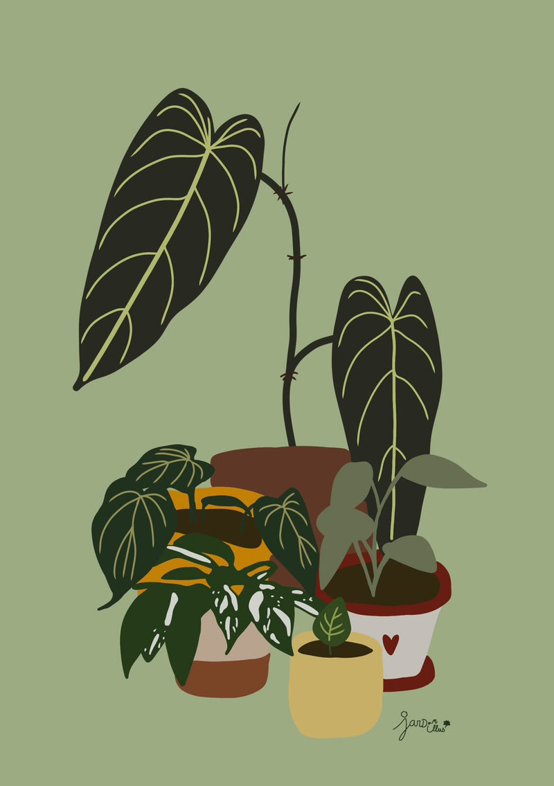 Carte illustrée Philodendron au format A5, LaMariesGarden X Joli Pot, cadeau amoureux des plantes