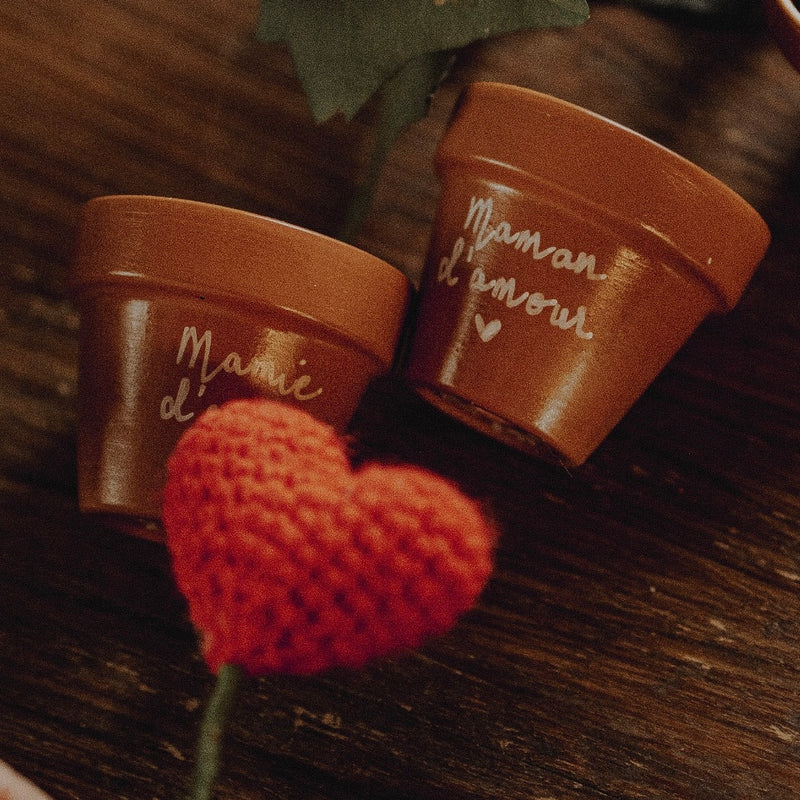 Mini pot en terre cuite crochet cœur crochet plante crochet rose pot de fleur
Idée cadeau original douce poétique pot de fleur personnalisé à personnaliser
