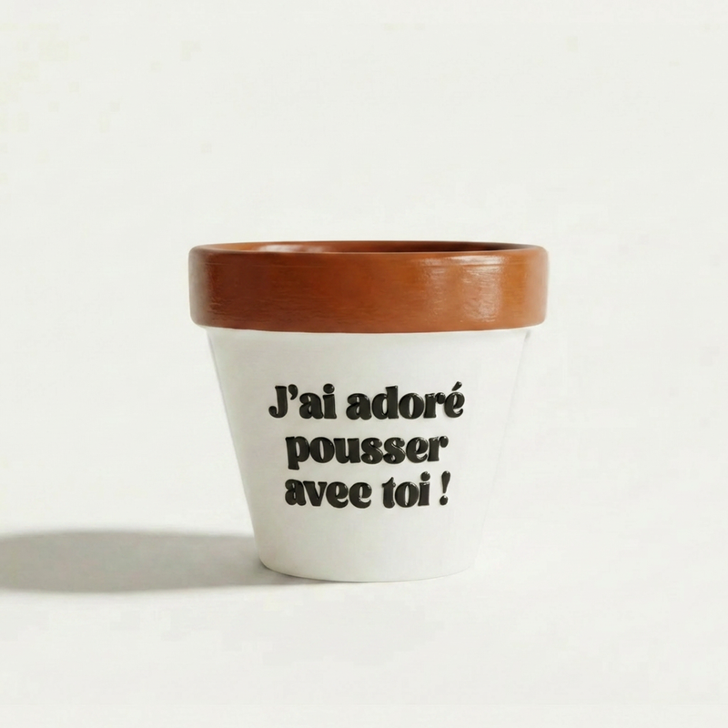 Pot de fleur cadeau maîtresse « J'ai adoré pousser avec toi ! », Muisti X Joli Pot