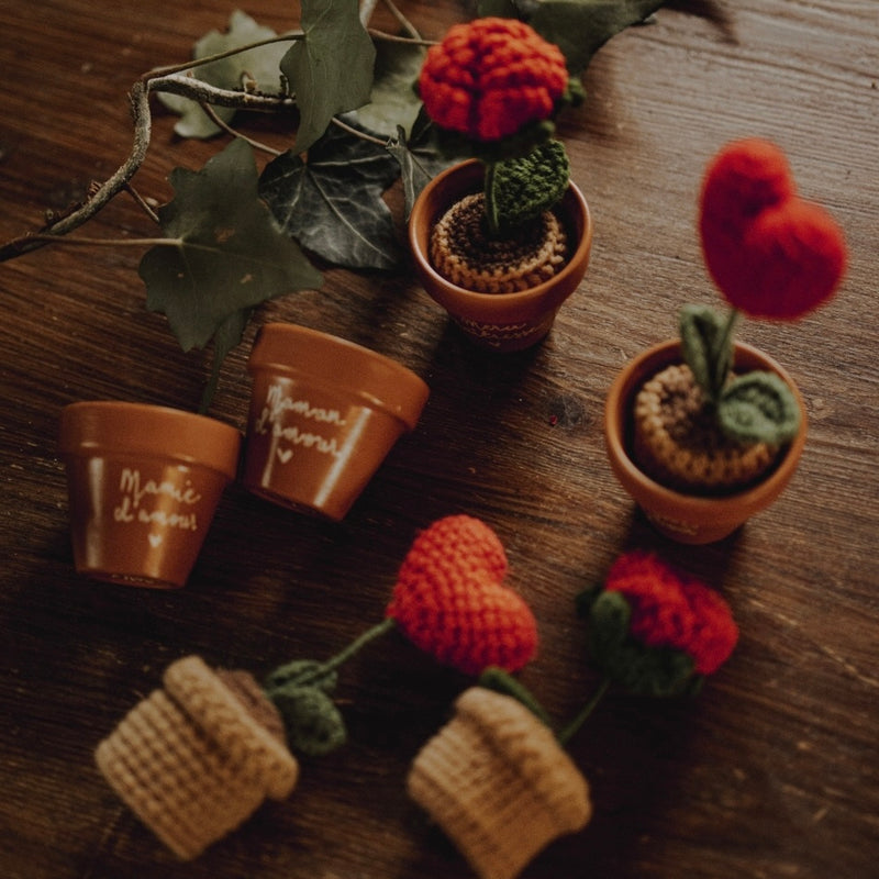 Mini pot en terre cuite crochet cœur crochet plante crochet rose pot de fleur
Idée cadeau original douce poétique pot de fleur personnalisé à personnaliser
