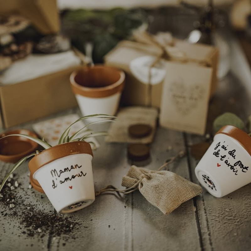 kit à planter pot graines, boite à planter, cadeau fete des meres, cadeau original fete des meres, cadeau personnalisé fete des meres, cadeau maman, cadeau original maman, idee cadeau maman, cadeau fait main maman, idee cadeau original maman, cadeau made in france, cadeau maman artisanal, pot de fleur maman, pot de fleur fete des meres, cache pot maman, cache pot fete des meres