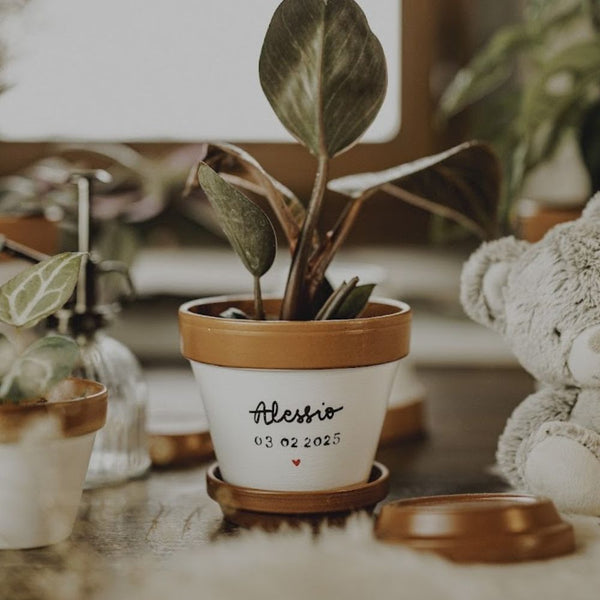 Pot de fleur, cache-pot Naissance