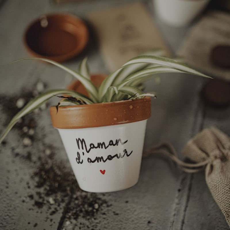 kit à planter pot graines, boite à planter, cadeau fete des meres, cadeau original fete des meres, cadeau personnalisé fete des meres, cadeau maman, cadeau original maman, idee cadeau maman, cadeau fait main maman, idee cadeau original maman, cadeau made in france, cadeau maman artisanal, pot de fleur maman, pot de fleur fete des meres, cache pot maman, cache pot fete des meres