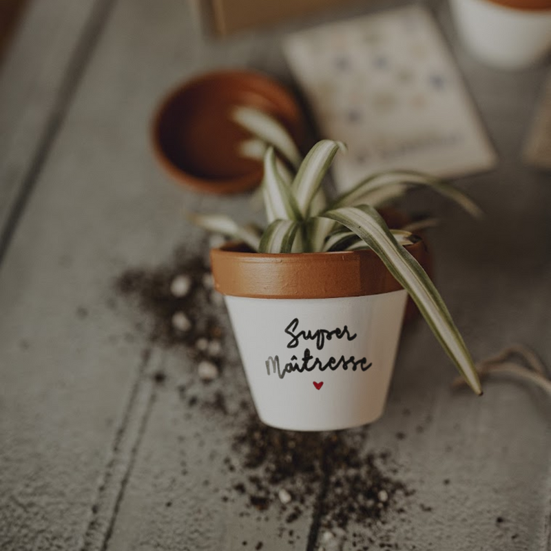 kit à planter pot graines, merci de m'avoir aidé à grandir, merci maitresse, merci nounou, super maitresse, super nounou, merci pour cette année, fin d'année scolaire, vacances scolaires, merci maitre, super maitre, merci atsem, super atsem, pot de fleur personnalisé, graines la fabrique à sachets, galettes fibres de coco, pot avec coupelle, cadeau original plant lover, idee cadeau plant addict, graines de coquelicot, boite à planter