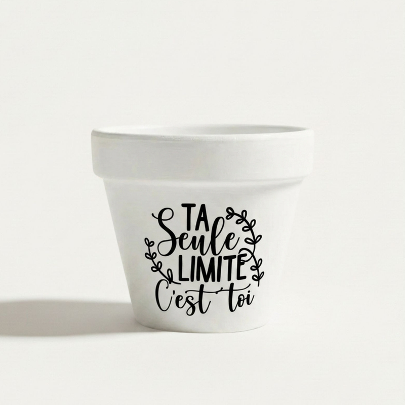 Pot de fleur à message « Ta seule limite c'est toi » en terre cuite fond blanc, cadeau motivation