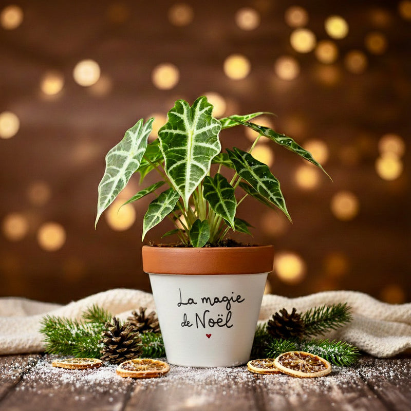 Pot de fleur "La magie de Noël"