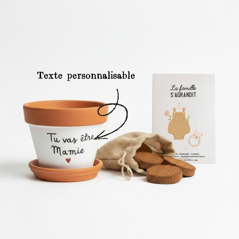 coffret annonce grossesse cadeau annonce grossesse pot personnalisé grossesse pot annonce bébé idée annonce bébé pot tu vas être mamie pot tu vas être papi pot veux-tu être marraine pot veux-tu être parrain pot de fleur personnalisé coffret famille s’agrandit pot personnalisé message cadeau futur parent annonce bébé originale cadeau symbolique fait main artisanat français joli pot graines cosmos décoration naissance pot à message cadeau émotion famille s’agrandit annonce grand-parent cadeau marraine parrain
