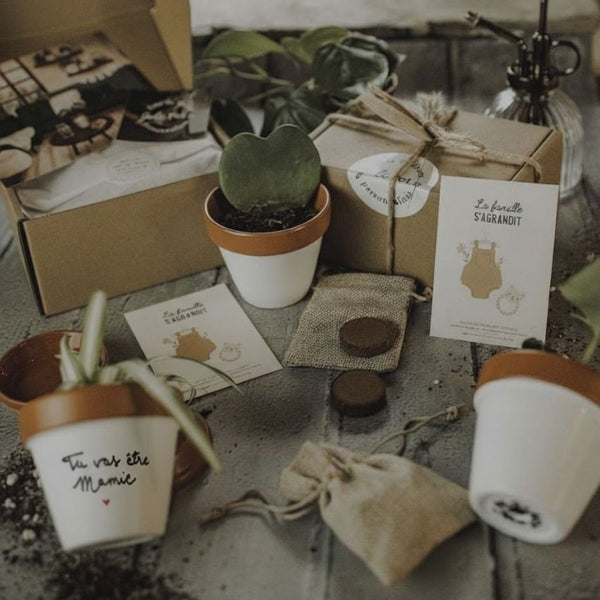 coffret annonce grossesse cadeau annonce grossesse pot personnalisé grossesse pot annonce bébé idée annonce bébé pot tu vas être mamie pot tu vas être papi pot veux-tu être marraine pot veux-tu être parrain pot de fleur personnalisé coffret famille s’agrandit pot personnalisé message cadeau futur parent annonce bébé originale cadeau symbolique fait main artisanat français joli pot graines cosmos décoration naissance pot à message cadeau émotion famille s’agrandit annonce grand-parent cadeau marraine parrain