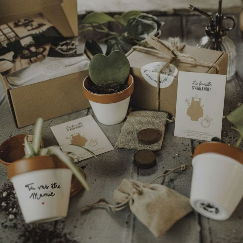 coffret annonce grossesse cadeau annonce grossesse pot personnalisé grossesse pot annonce bébé idée annonce bébé pot tu vas être mamie pot tu vas être papi pot veux-tu être marraine pot veux-tu être parrain pot de fleur personnalisé coffret famille s’agrandit pot personnalisé message cadeau futur parent annonce bébé originale cadeau symbolique fait main artisanat français joli pot graines cosmos décoration naissance pot à message cadeau émotion famille s’agrandit annonce grand-parent cadeau marraine parrain
