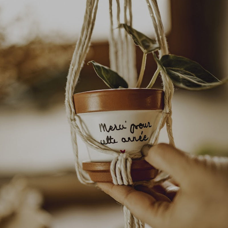 coffret cadeau artisanal de l'amour à planter cadeau original cadeau fait main cadeau fait avec amour cadeau macramé cadeau pot de fleur cache pot kit à planter coffret prêt à pousser grain de fantaisies joli pot
