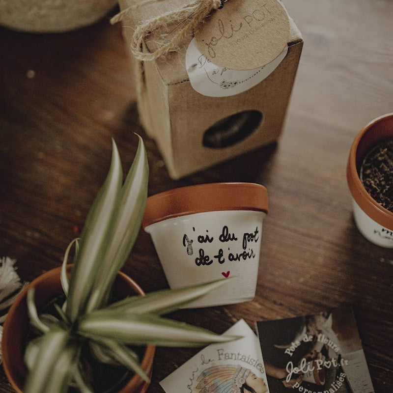 coffret cadeau artisanal de l'amour à planter cadeau original cadeau fait main cadeau fait avec amour cadeau macramé cadeau pot de fleur cache pot kit à planter coffret prêt à pousser grain de fantaisies joli pot