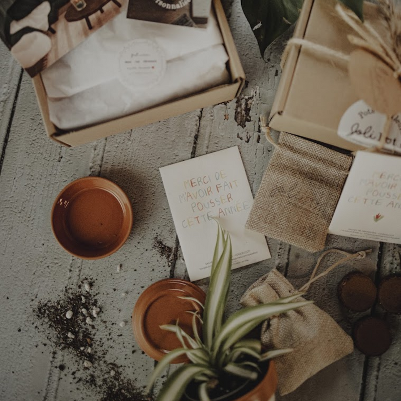 kit à planter pot graines, merci de m'avoir aidé à grandir, merci maitresse, merci nounou, super maitresse, super nounou, merci pour cette année, fin d'année scolaire, vacances scolaires, merci maitre, super maitre, merci atsem, super atsem, pot de fleur personnalisé, graines la fabrique à sachets, galettes fibres de coco, pot avec coupelle, cadeau original plant lover, idee cadeau plant addict, graines de coquelicot, boite à planter