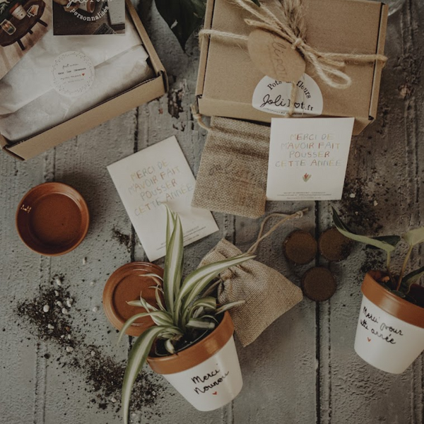 kit à planter pot graines, merci de m'avoir aidé à grandir, merci maitresse, merci nounou, super maitresse, super nounou, merci pour cette année, fin d'année scolaire, vacances scolaires, merci maitre, super maitre, merci atsem, super atsem, pot de fleur personnalisé, graines la fabrique à sachets, galettes fibres de coco, pot avec coupelle, cadeau original plant lover, idee cadeau plant addict, graines de coquelicot, boite à planter