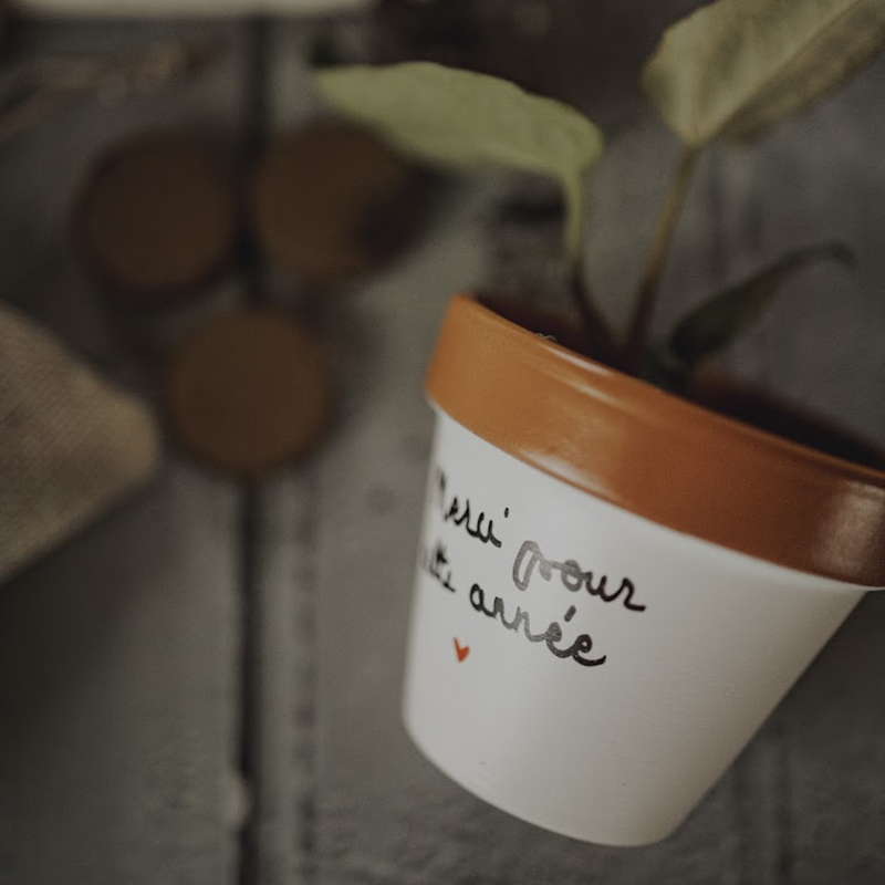 kit à planter pot graines, merci de m'avoir aidé à grandir, merci maitresse, merci nounou, super maitresse, super nounou, merci pour cette année, fin d'année scolaire, vacances scolaires, merci maitre, super maitre, merci atsem, super atsem, pot de fleur personnalisé, graines la fabrique à sachets, galettes fibres de coco, pot avec coupelle, cadeau original plant lover, idee cadeau plant addict, graines de coquelicot, boite à planter