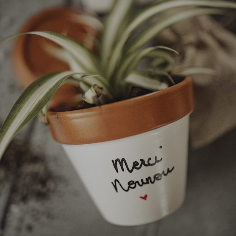 kit à planter pot graines, merci de m'avoir aidé à grandir, merci maitresse, merci nounou, super maitresse, super nounou, merci pour cette année, fin d'année scolaire, vacances scolaires, merci maitre, super maitre, merci atsem, super atsem, pot de fleur personnalisé, graines la fabrique à sachets, galettes fibres de coco, pot avec coupelle, cadeau original plant lover, idee cadeau plant addict, graines de coquelicot, boite à planter