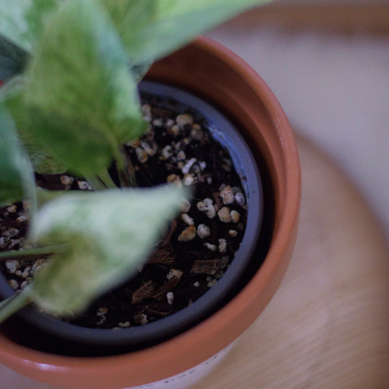 Pot de fleur "Tu n’es plus là où tu étais… "
