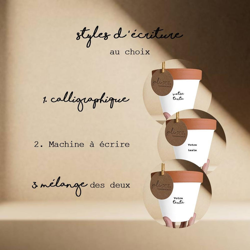 styles d'écritures joli pot