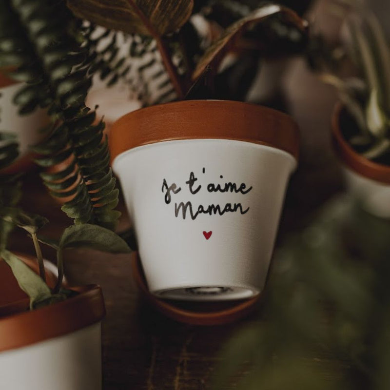 kit à planter pot graines, boite à planter, cadeau fete des meres, cadeau original fete des meres, cadeau personnalisé fete des meres, cadeau maman, cadeau original maman, idee cadeau maman, cadeau fait main maman, idee cadeau original maman, cadeau made in france, cadeau maman artisanal, pot de fleur maman, pot de fleur fete des meres, cache pot maman, cache pot fete des meres