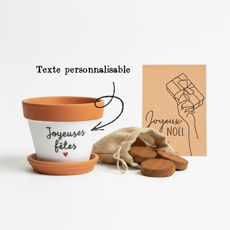 kit à planter pot graines, me fais pas crever, pot de fleur personnalisé, graines la fabrique à sachets, galettes fibres de coco, pot avec coupelle, cadeau original plant lover, idee cadeau plant addict joyeux noel bonne année