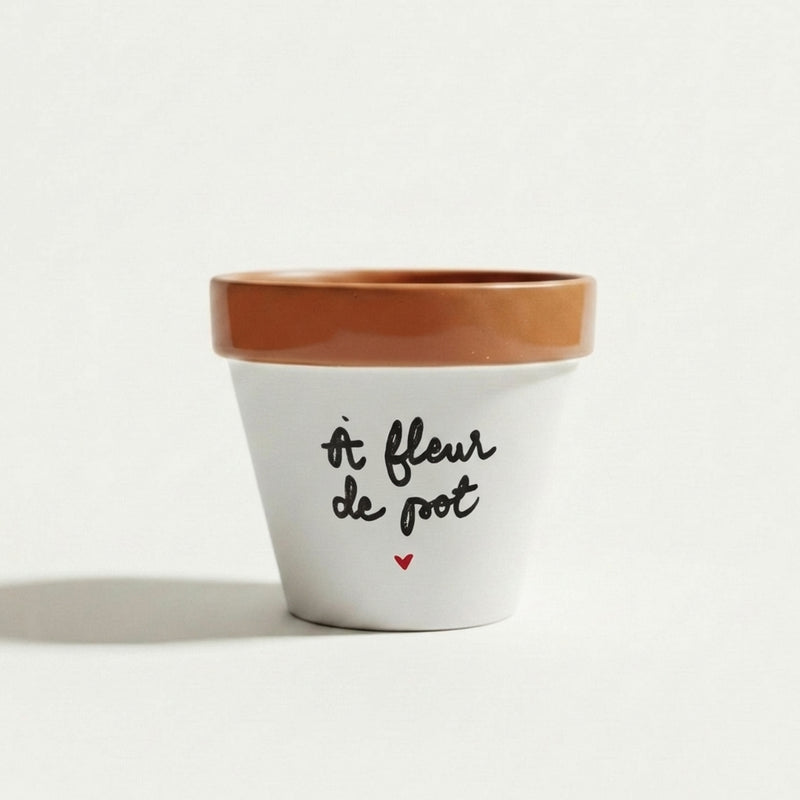 Pot de fleur - À fleur de pot