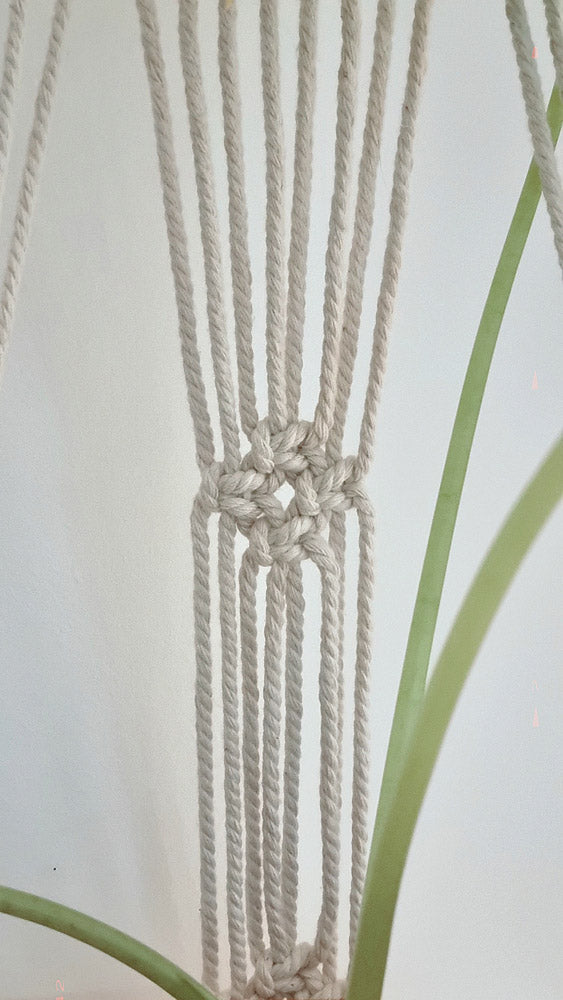 Suspension Plante en macramé Héra fait-main avec amour ♥