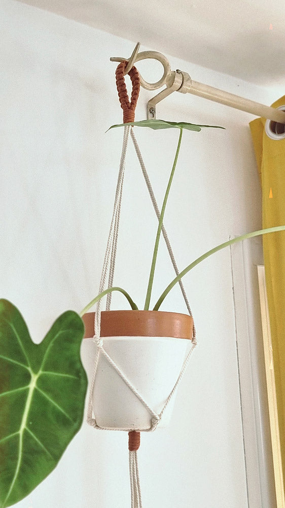 Macramé - Suspension pour plantes - Emilie & Co - P'tits Poids