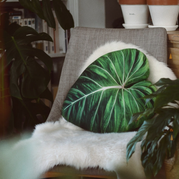 coussin feuille plante philodendron gloriosum