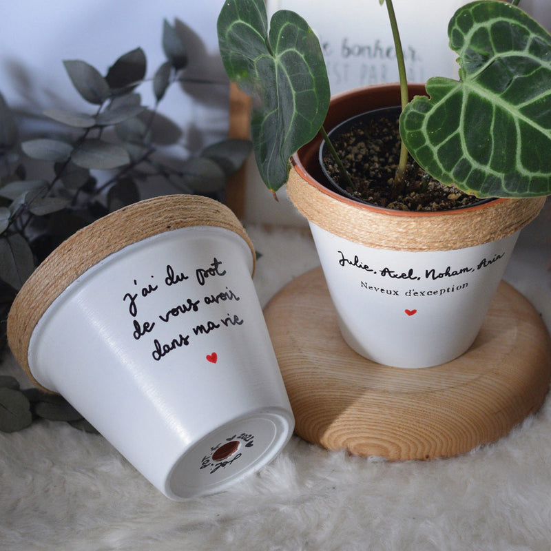 pot de fleur personnalisé love amour idée cadeau femme cadeau couple amie amitié, cadeau saint valentin personnalisé, cadeau personnalisé st valentin, cadeau original plante lover addict plantes vertes