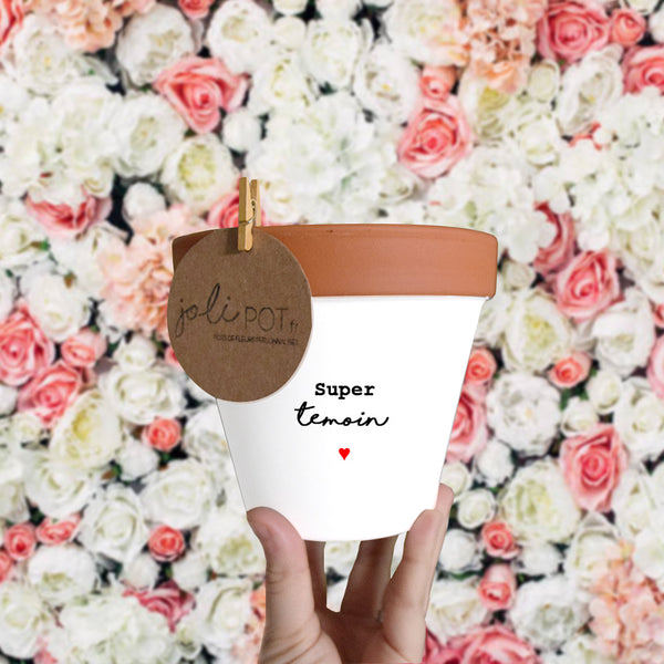 pot de fleur super temoin cadeau temoin original personnalisé